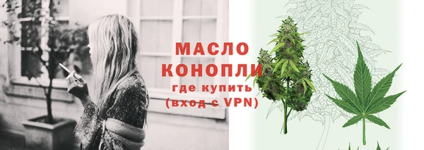 дживик Богородск