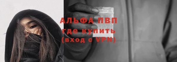 дживик Богородск