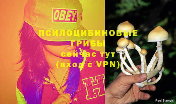 герыч Богородицк