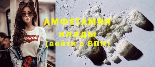 дживик Богородск