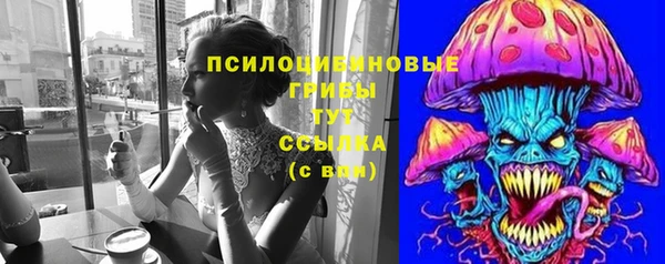 дживик Богородск