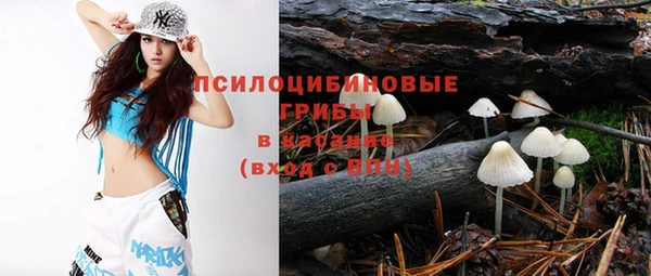 дживик Богородск