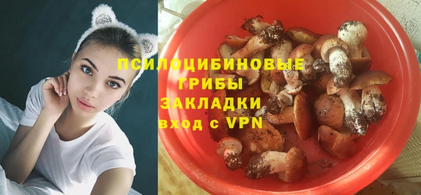 кокаин перу Богданович