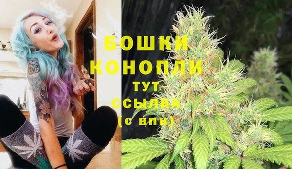 дживик Богородск