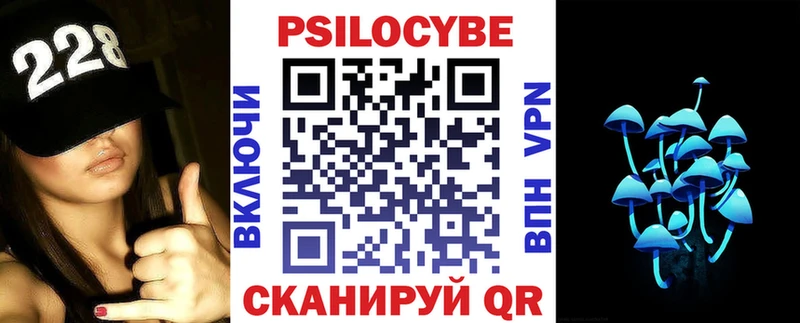 Галлюциногенные грибы Psilocybine cubensis  Гудермес 