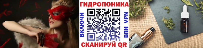 Бошки Шишки Amnesia Гудермес